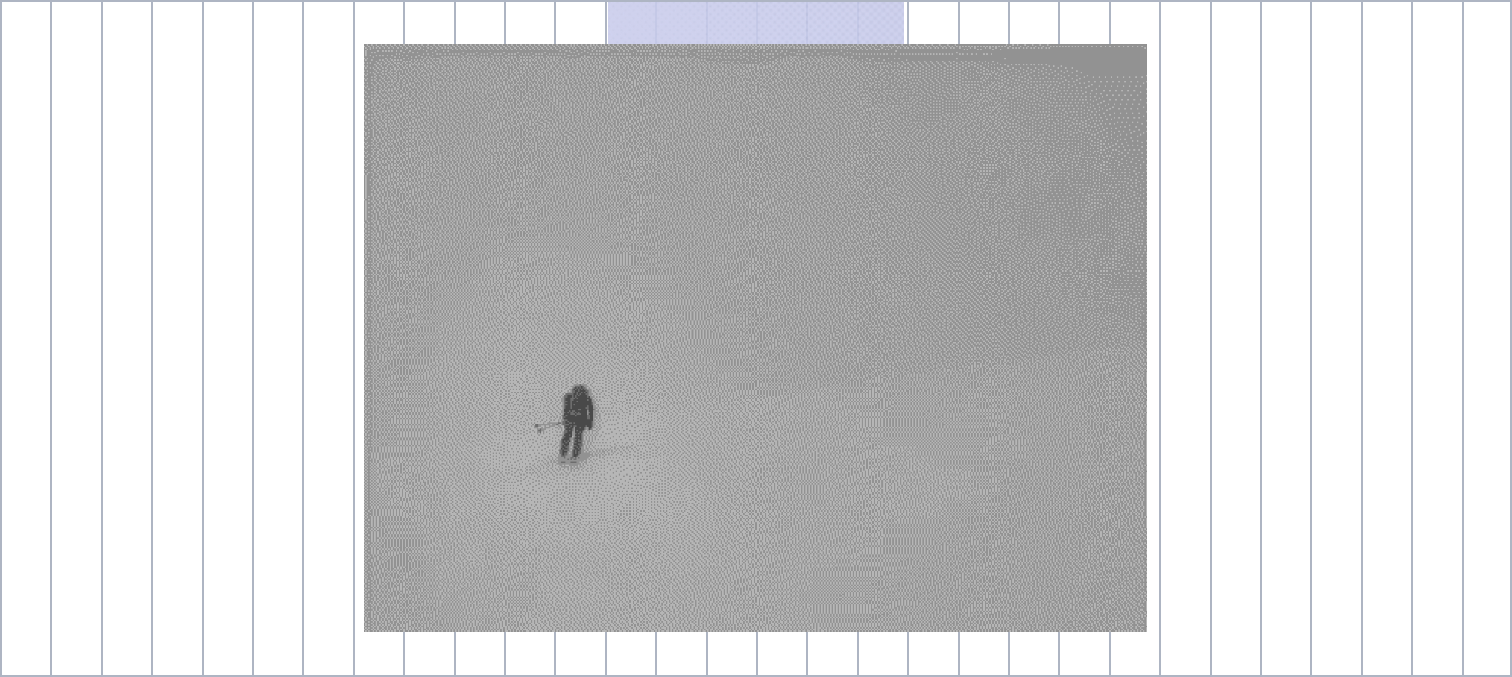 An example of a whiteout in a snowstorm.